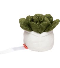 Pluszowy sukulent do czyszczenia ekranów M160849 Mbw 