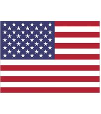 Flaga USA FLAGUS Printwear
