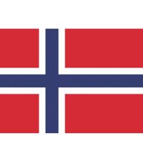 Flaga Norwegii FLAGNO Printwear 